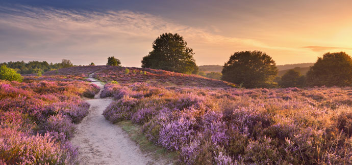 Tophotels op de Veluwe Tophotels op de Veluwe