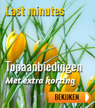 Last minute hotels