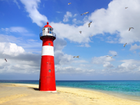 Alle Zomervakantie Specials