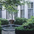 tuin