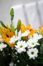 Bloemen badkamer
