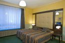 Hotel Plasky