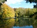 Omgeving