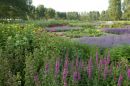 Omgeving