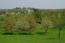 Omgeving