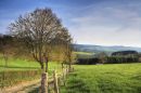Ardennen