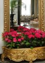 Receptie