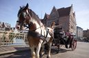Paard en wagen