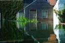 Tuin
