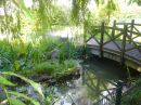 Tuin