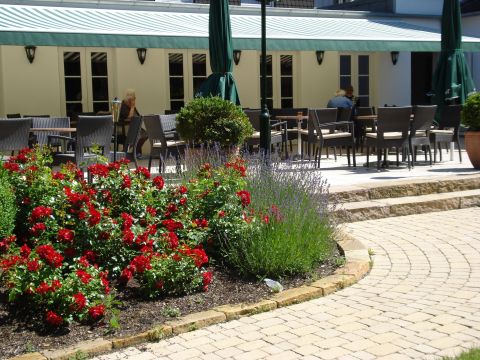 Kurhotel Drei Birken Kurhotel Drei Birken