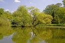 Omgeving