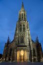 Münster