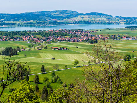 Hotel Elizabet