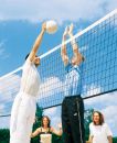 Volleybal