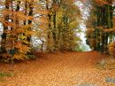 Herfst 