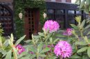 Landidyll Wilminks Parkhotel