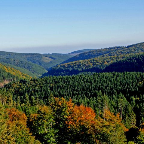 Secret Hotel Winterberg 3*