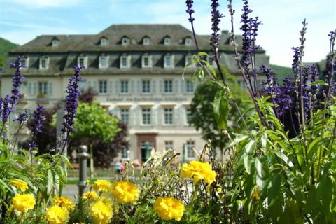 Parkhotel Bad Bertrich - Moezel