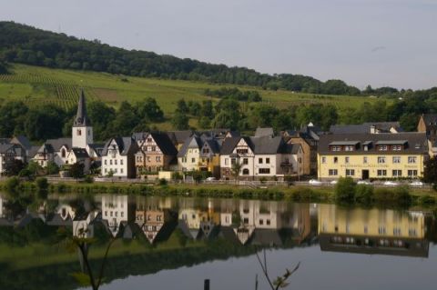 Winzerhotel zum Moselstrand Winzerhotel zum Moselstrand