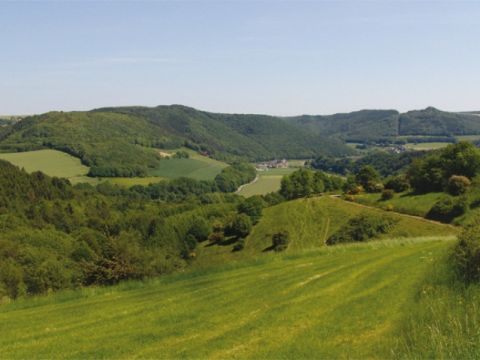 Hotel Wiedfriede