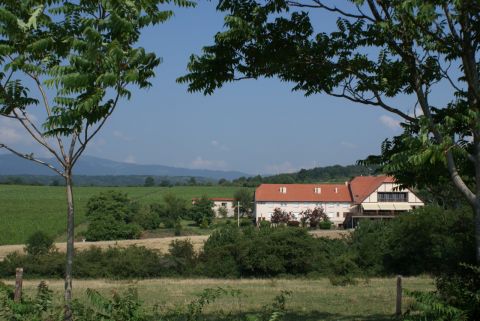 Hotel du Bollenberg