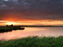 In de omgeving