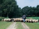 Drenthe