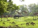 Dierenpark Emmen