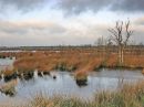 Drenthe