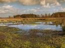 In de omgeving