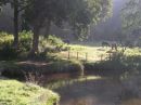 Drentsche Aa Nationaal Park en Landschap