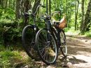 Prachtige fietstochten in de omgeving
