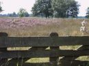Hotel De Stee - Omgeving