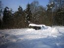 Omgeving