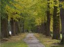 Omgeving