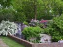 Tuin achterzijde