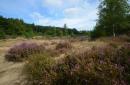 Omgeving