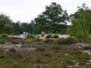 Omgeving