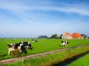 Franeker