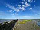 Wadden