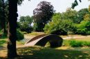 Omgeving