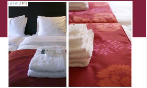 Badhotel Bruin