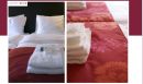 Badhotel Bruin