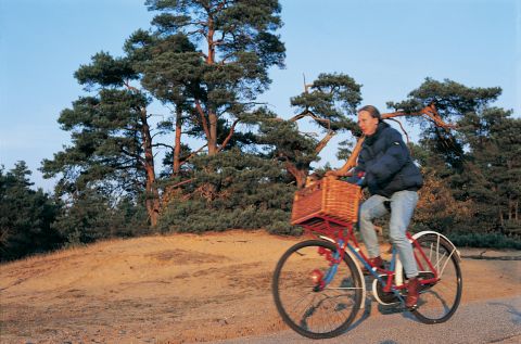 Secret Hotel Veluwe 3*