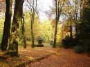 Omgeving