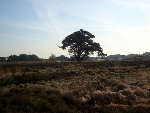 Hotel de Paasberg in Ede