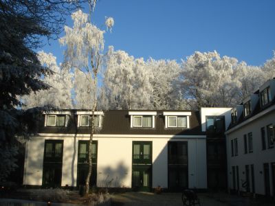 De Witte Berken in Epe