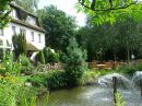Witte Berken
