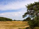 De Veluwe